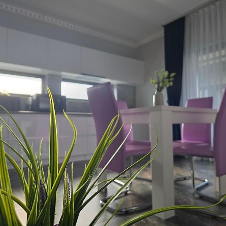 Casa Anastasia Villa Oradea Dış mekan fotoğraf